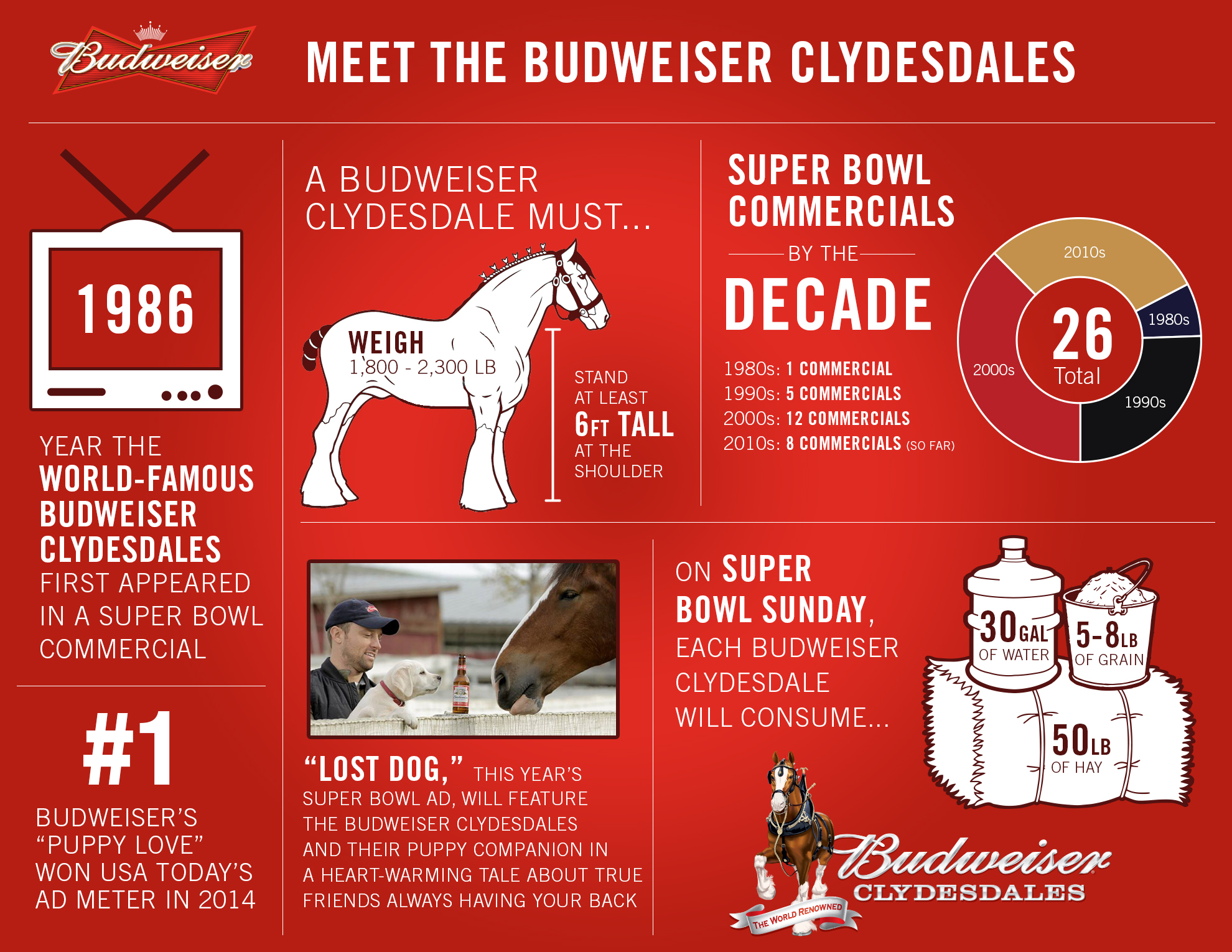 AnheuserBusch Super Bowl XLIX Ads to Spotlight Budweiser, Bud Light
